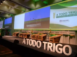 20º CONGRESO A TODO TRIGO