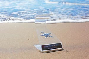 Los Premios Estrella de Mar ya tiene a sus nominados