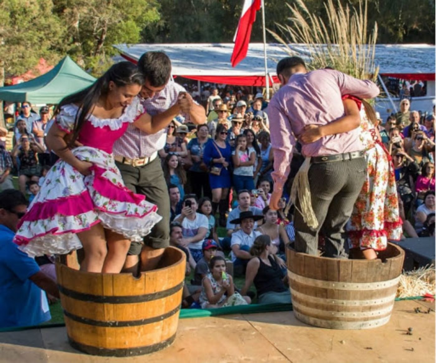 Chile…despliega la emocionante “vendimia de vinos y brandy altura” en Valle del Elqui…Imperdible!!!!!