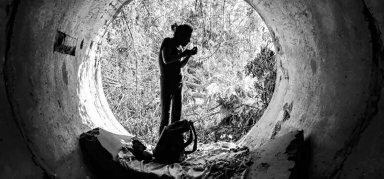 Córdoba. Propuestas Artísticas del Museo Palacio Dionisi para 2026