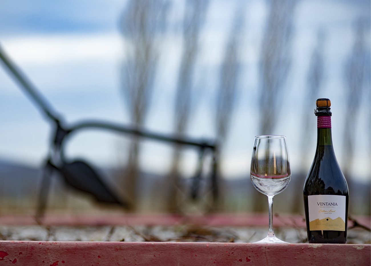 Buenos Aires presenta su agenda de enoturismo en marzo 2026