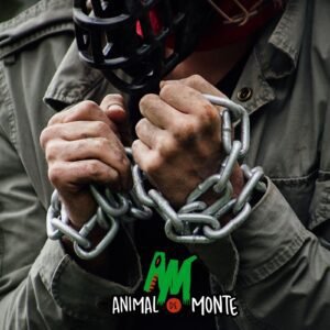 Animal de Monte presenta su disco debut en 2026
