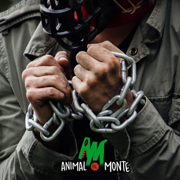 Animal de Monte presenta su disco debut en 2026