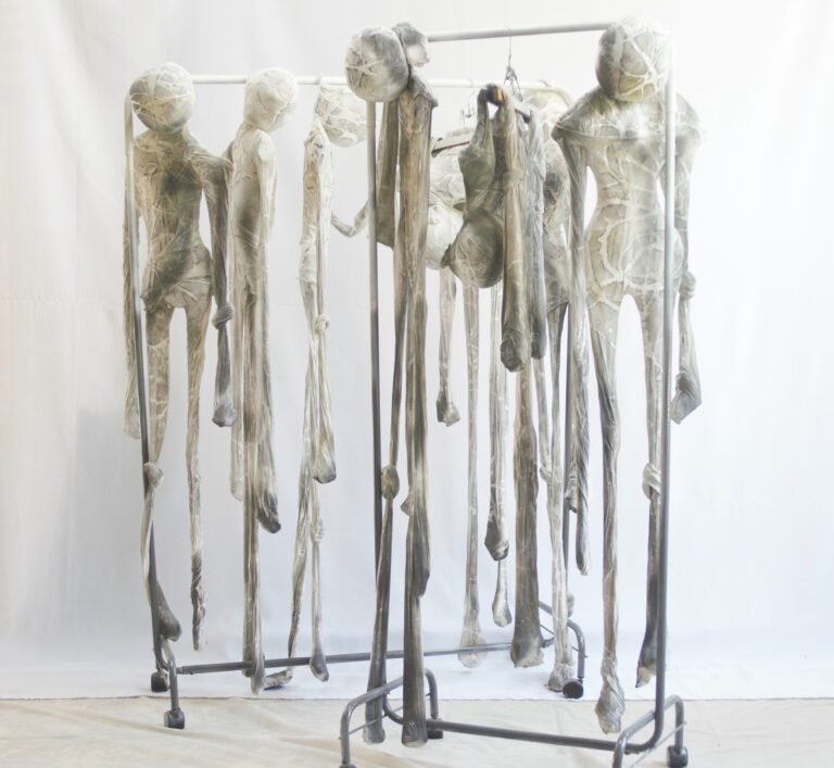 Museo Sívori inaugura dos muestras en 2026