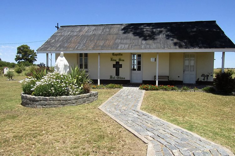 Sudoeste bonaerense: ruta del oliva en 2026