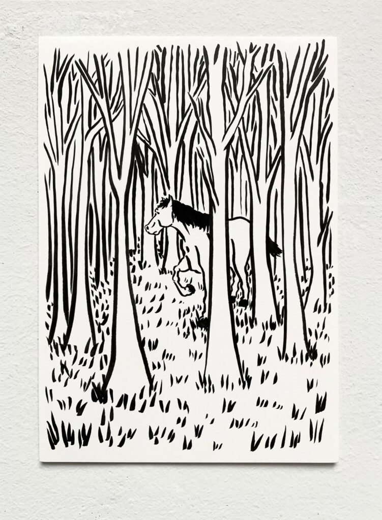 Juan Reos estrena “Álbum de motivos” en 2026