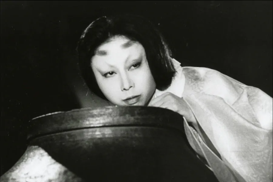 Cine Lumière renueva su cartelera semanal 2026