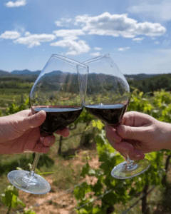 Todas las bodegas de Argentina abren sus puertas para degustaciones