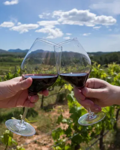 Todas las bodegas de Argentina abren sus puertas para degustaciones