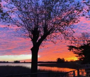 Las lagunas bonaerenses invitan a disfrutar de la temporada del pejerrey en 2026