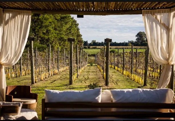 Buenos Aires impulsa el turismo del vino y el oleoturismo en octubre en 2026